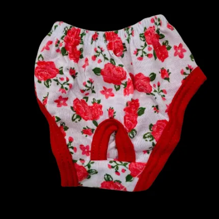 Calzoncitos