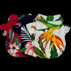 Camisa Hawaiana