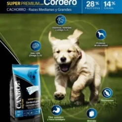 Canbo Cachorro Raza Mediana/Grande