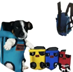 Canguro para perro