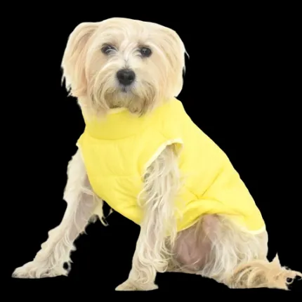 Chaleco Impermeable Amarillo