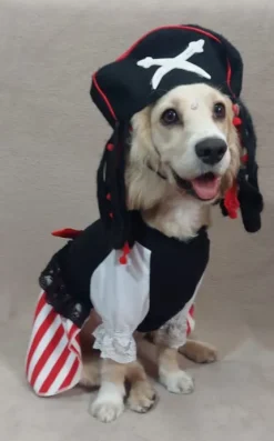 Disfraz Pirata
