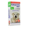 Gabapentina 250mg