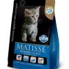 Matisse Gatitos