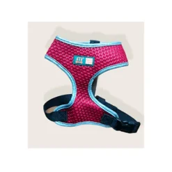 Pechera CMG