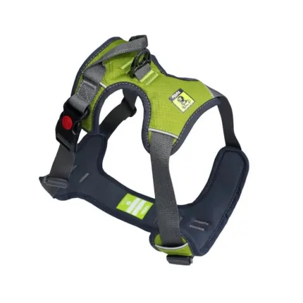 Pechera Comfortable Chest Padding