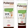 Potenza Cats