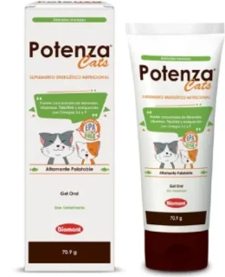 Potenza Cats