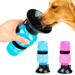 Tomatodo Agua Dogs