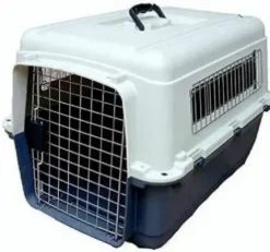 Transportadora L60